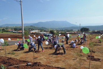 Crianças plantam árvores em São Pedro