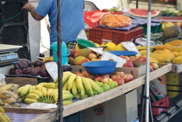Frutas e hortaliças registram aumento