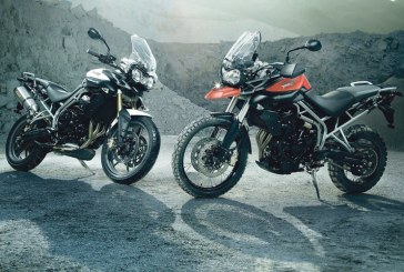 Felinas em todo terreno