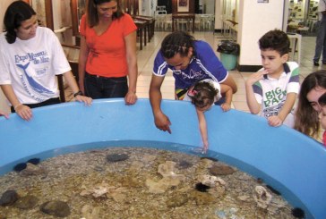 Expo Museu do Mar virá a Indaiatuba