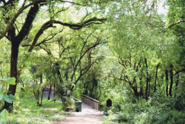 Domingo Ecológico será no Bosque