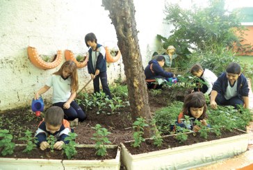Estudantes participam do Projeto Horta