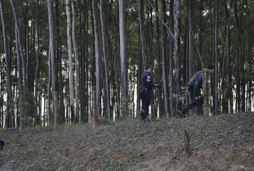 Três indivíduos foram perseguidos na SP-73