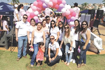 Câncer de mama em pets tem tratamento