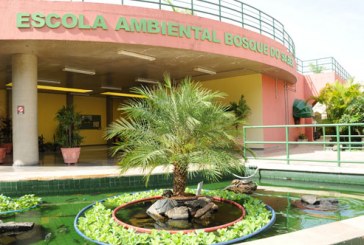 Bosque do Saber realiza 41º Domingo Ecológico neste fim de semana