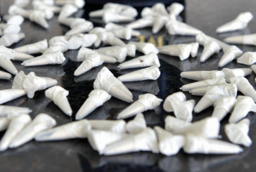 Cerca de 14 quilos de drogas são apreendidas