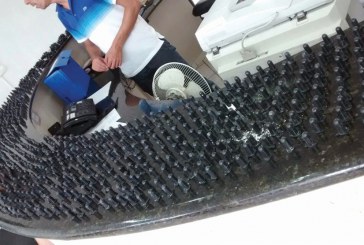 Mulheres são detidas pela Polícia Militar