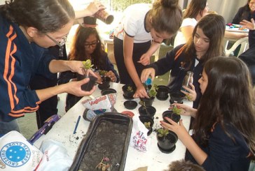 Estudantes do Colégio Montreal desvendam a importância das plantas e seus nutrientes para alimentação saudável