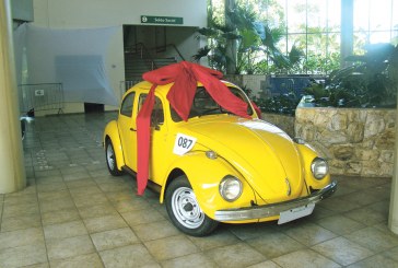 Leilão Beneficente acontece amanhã