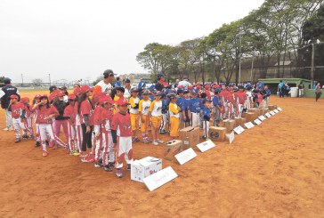 Beisebol traz a família para o esporte