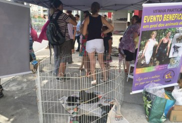 Jaraguá  recebe Feira de Adoção