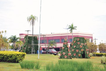 Árvores de Natal começam a ser montadas