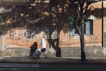Sala Palma de Ouro sedia exposição