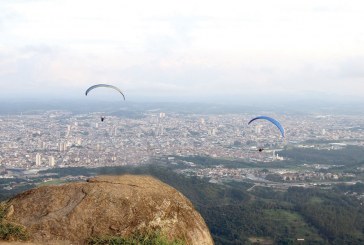 Flores, adrenalina  e outras surpresas