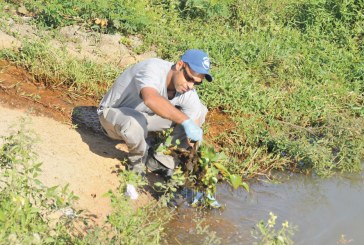 Imagem da Semana 28/04/2017