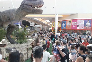 Exposição é sucesso no Polo Shopping