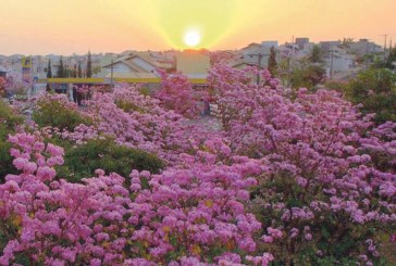 Imagem da Semana 29/09/2017