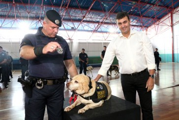 Guarda Civil comemora 7 anos de atuação do Grupo de operações com cães