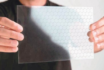 Futuro do carro elétrico é o carbono