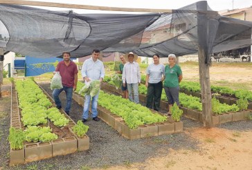 Projeto ‘Horta Solidária’ faz segunda doação