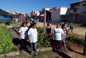Prefeitura faz doação de hortaliças produzidas pelo projeto ‘Horta Solidária’