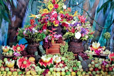 Lounge Tropical e área coberta são as novidades no Baile do Hawaii do Clube 9 de Julho