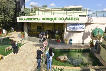 Domingo Ecológico traz atividades gratuitas