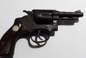 Guardas Civis localizam arma escondida em jardim no Cidade Nova