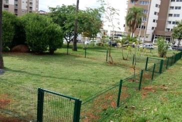 Prefeitura implanta espaço pet em praça localizada no Jardim Pau Preto