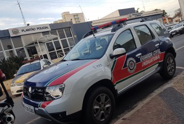 Guarda Civil registra quatro ocorrências evolvendo tráfico de drogas no final de semana