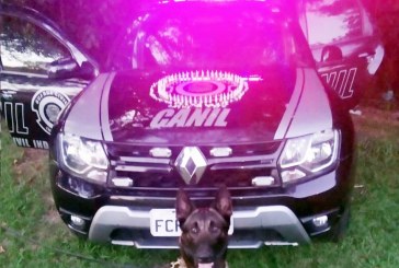 Guarda Civil apreende 198 porções de drogas no Parque Floresta