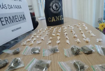 Guarda Civil retira 90 porções de drogas das ruas na segunda-feira
