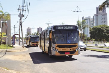 Transporte Público Opera com itinerário de domingo