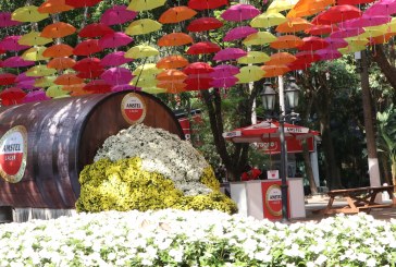 39ª Expoflora será adiada para 2021