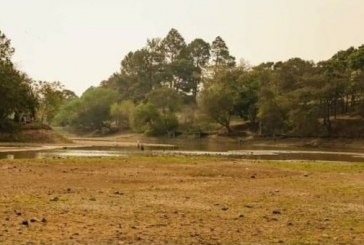 População do bairro Itaici se revolta com Gaspar: “Ele só mente para nós”