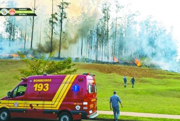 Avião que cai em Piracicaba levava empresário da Cosan