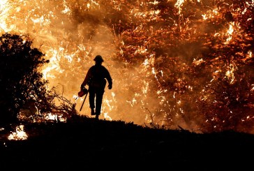 Incêndios: Portugal aciona Mecanismo Europeu de Proteção Civil