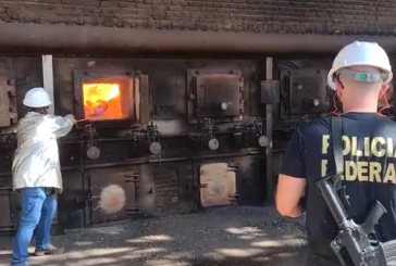 PF de Campinas incinera drogas apreendidas na região; parte em Viracopos