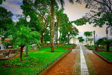 São Paulo tem as cidades mais verdes do Brasil