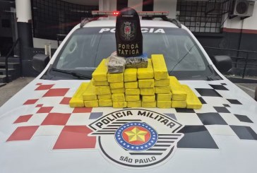 Recorde: apreensão de drogas na RMC