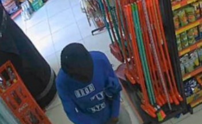 Ladrão se esconde na mata, mas GCI acha