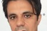 A Democracia: Do cavalo Selvagem ao Domado