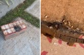 Leite com larvas em Atacadista da Cidade