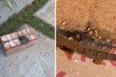 Leite com larvas em Atacadista da Cidade